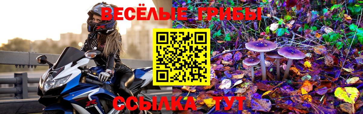 Калач-на-Дону  Галлюциногенные грибы Psilocybine cubensis  Галлюциногенные грибы GOLDEN TEACHER  Вход с VPN 
